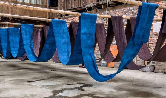 微生物染色解析：你知道这些细菌的颜色吗？